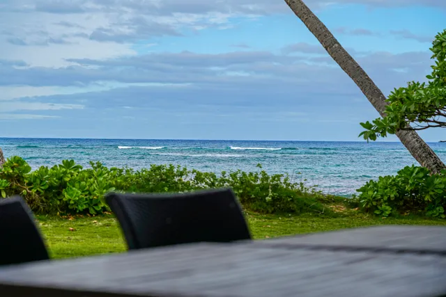 a view of a floor with a garden