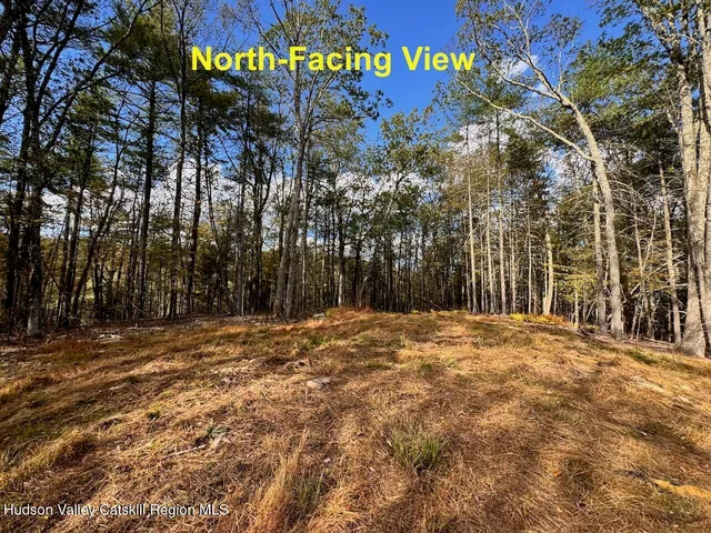 a view of a yard with large trees