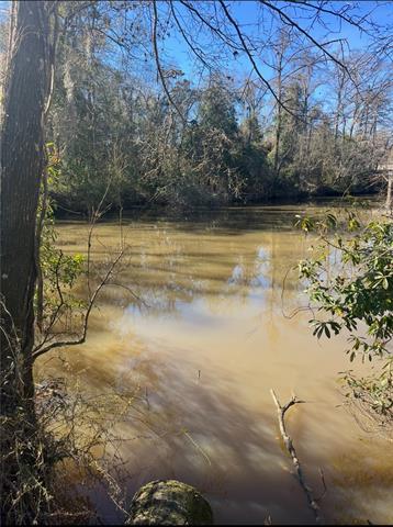 513 West 5th Avenue Covington, LA 70433 - Photo 2 of 4