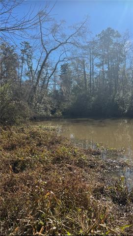 513 West 5th Avenue Covington, LA 70433 - Photo 4 of 4