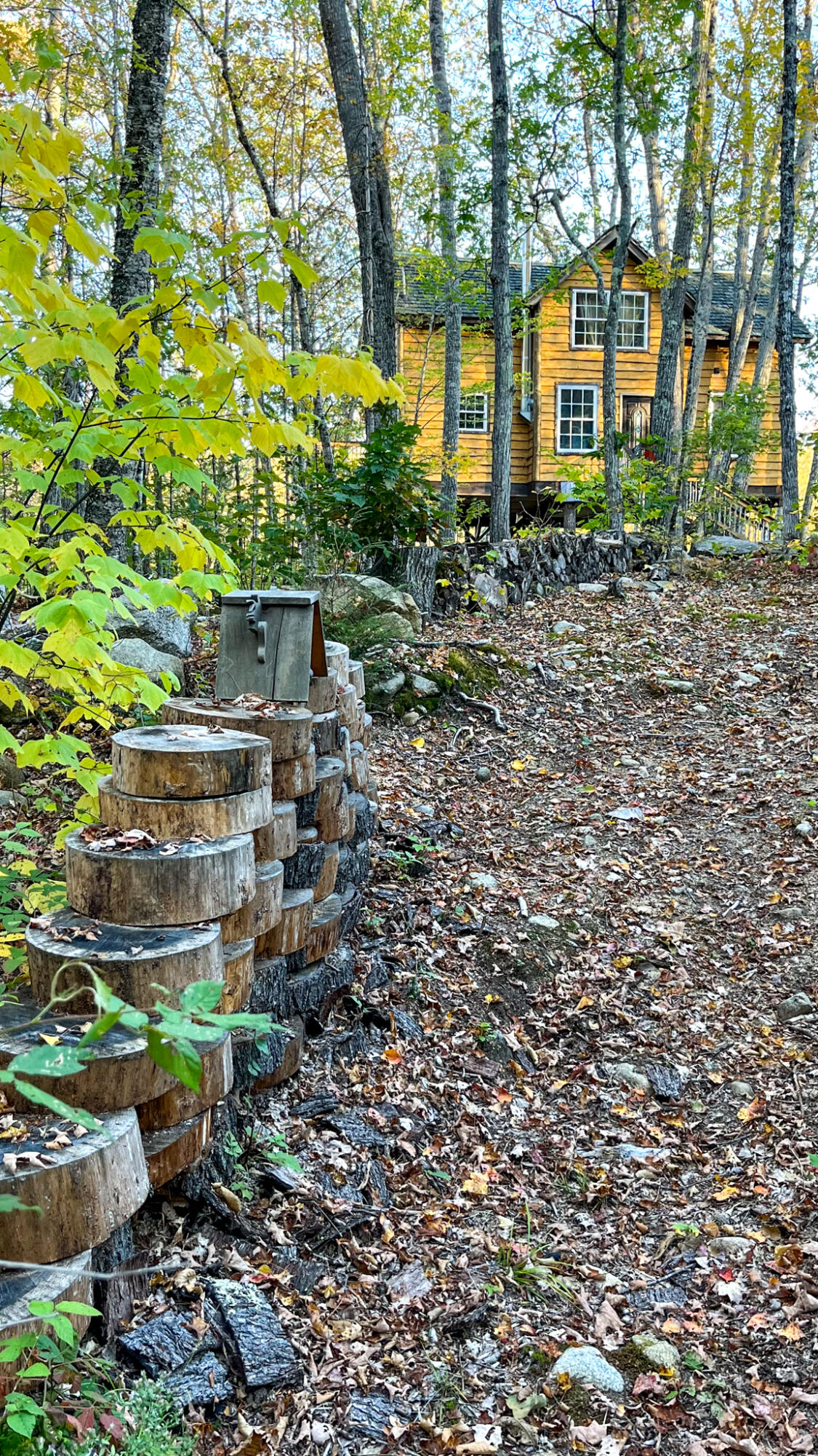 859 Maine Street Stoneham, ME 04231 - Photo 90 of 126 20221008-Photo Oct 08, 5 08 34 PM