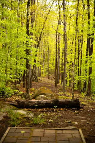 $899,900 | 859 Maine Street, Stoneham, ME 04231