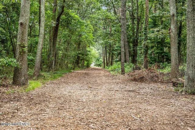 a view of outdoor space and trees