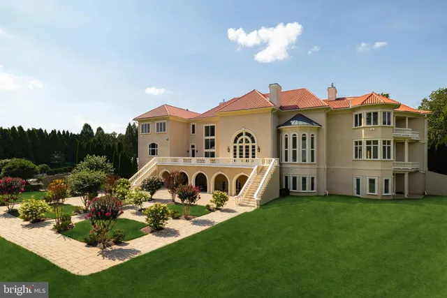 a view of a pathway covered with flower plants