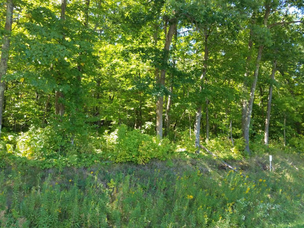 Lot 3 Wildcat Road Spooner, WI 54801 - Photo 1 of 1