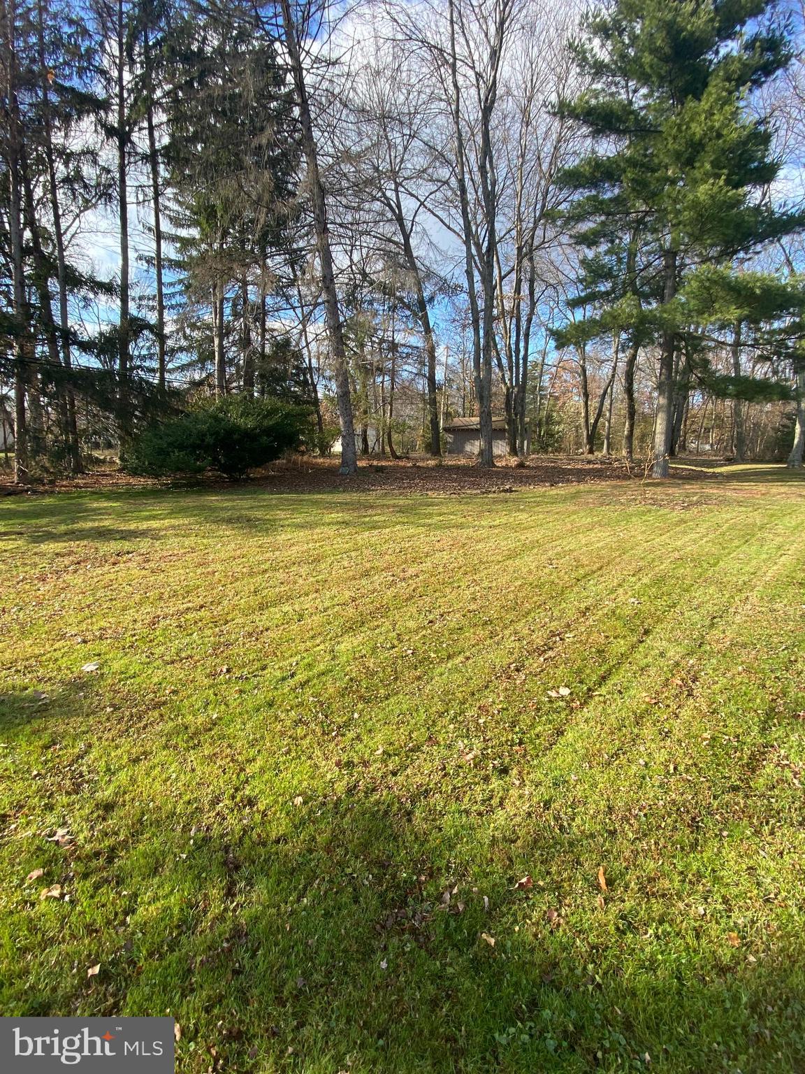 1231 Lois Road Ambler, PA 19002 - Photo 5 of 29 View from back patio