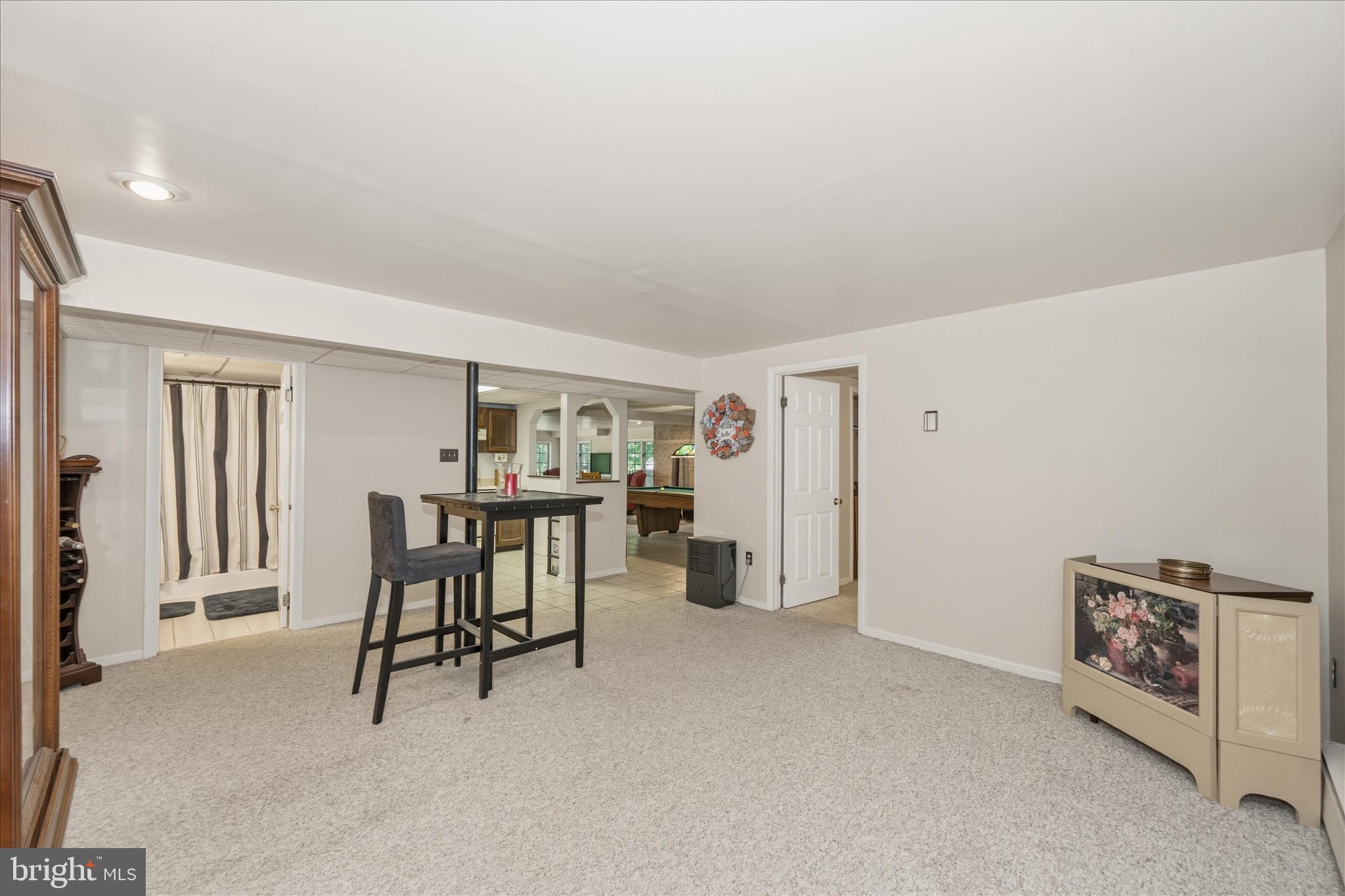 13457 Old Annapolis Road Mount Airy, MD 21771 - Photo 42 of 82 Lower Level