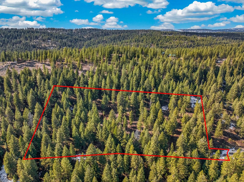Lot 19 Little Salmon Road, Unit 19 New Meadows, ID 83654 - Photo 31 of 37