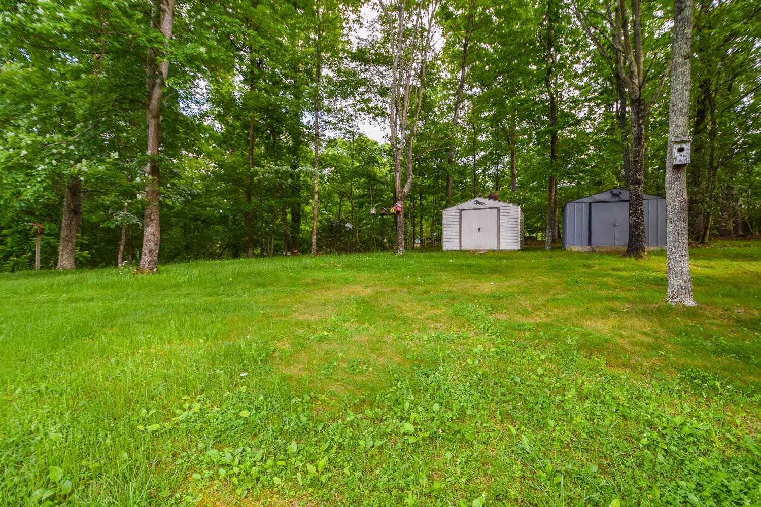 3572 Buck Mountain Road Roanoke, VA 24018 - Photo 20 of 21 3572 Buck Mountain Rd Roanoke-large-020-