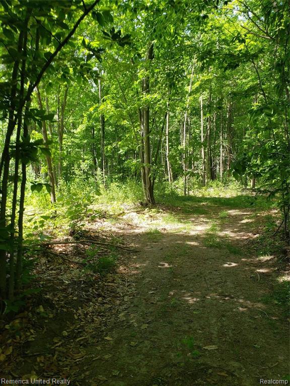 2469 East Spruce Road Spruce, MI 48762 - Photo 40 of 48