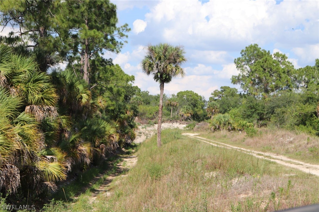 4244 East 24th Street Alva, FL 33920 - Photo 11 of 13 a view of a yard