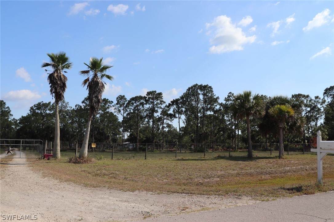 4244 East 24th Street Alva, FL 33920 - Photo 13 of 13 a view of a backyard of a house