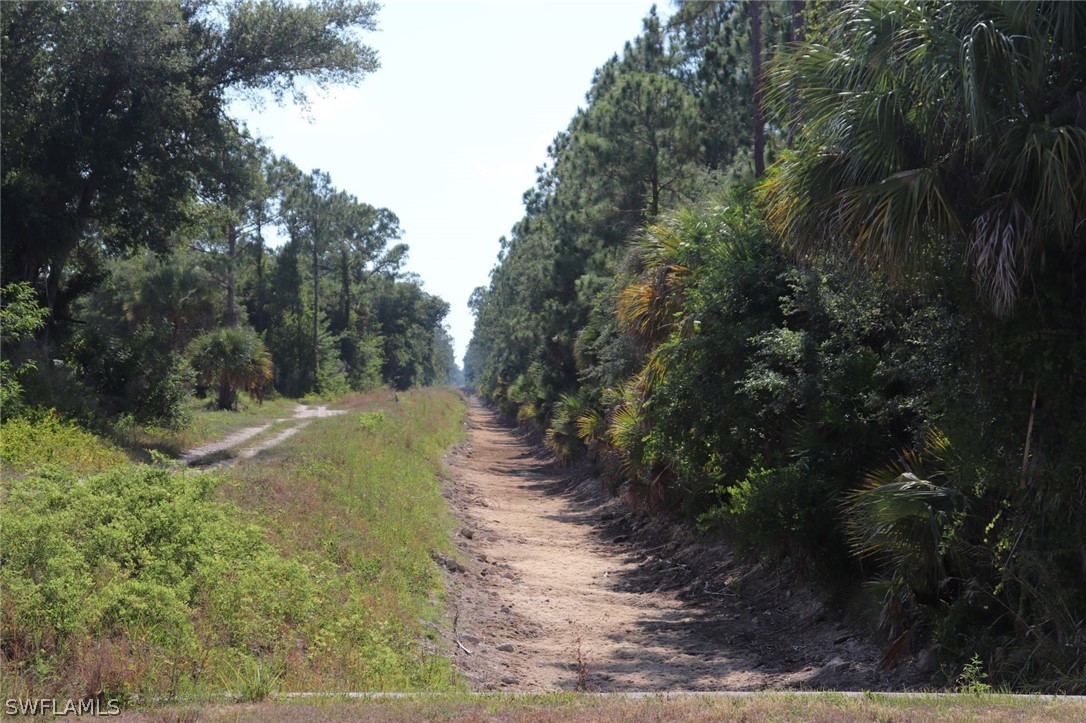 4244 East 24th Street Alva, FL 33920 - Photo 2 of 13 a view of a yard with plants and trees