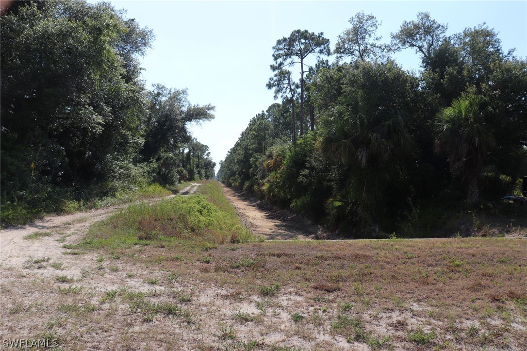 4244 East 24th Street Alva, FL 33920 - Photo 3 of 13 a view of outdoor space and yard
