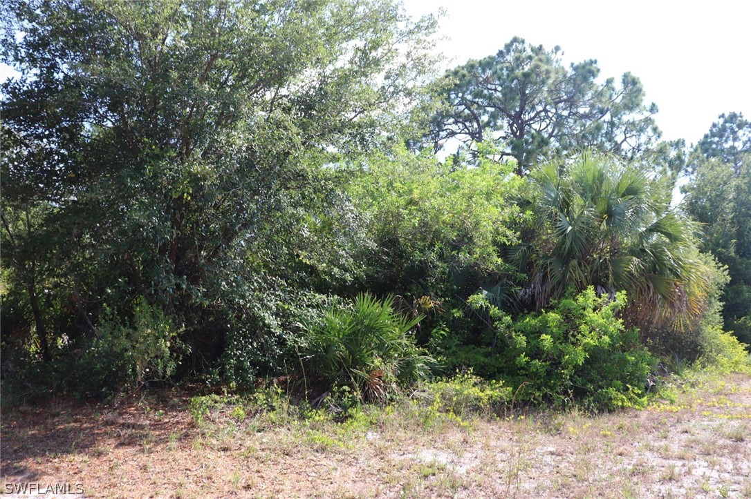 4244 East 24th Street Alva, FL 33920 - Photo 5 of 13 a view of a yard with plants and large trees