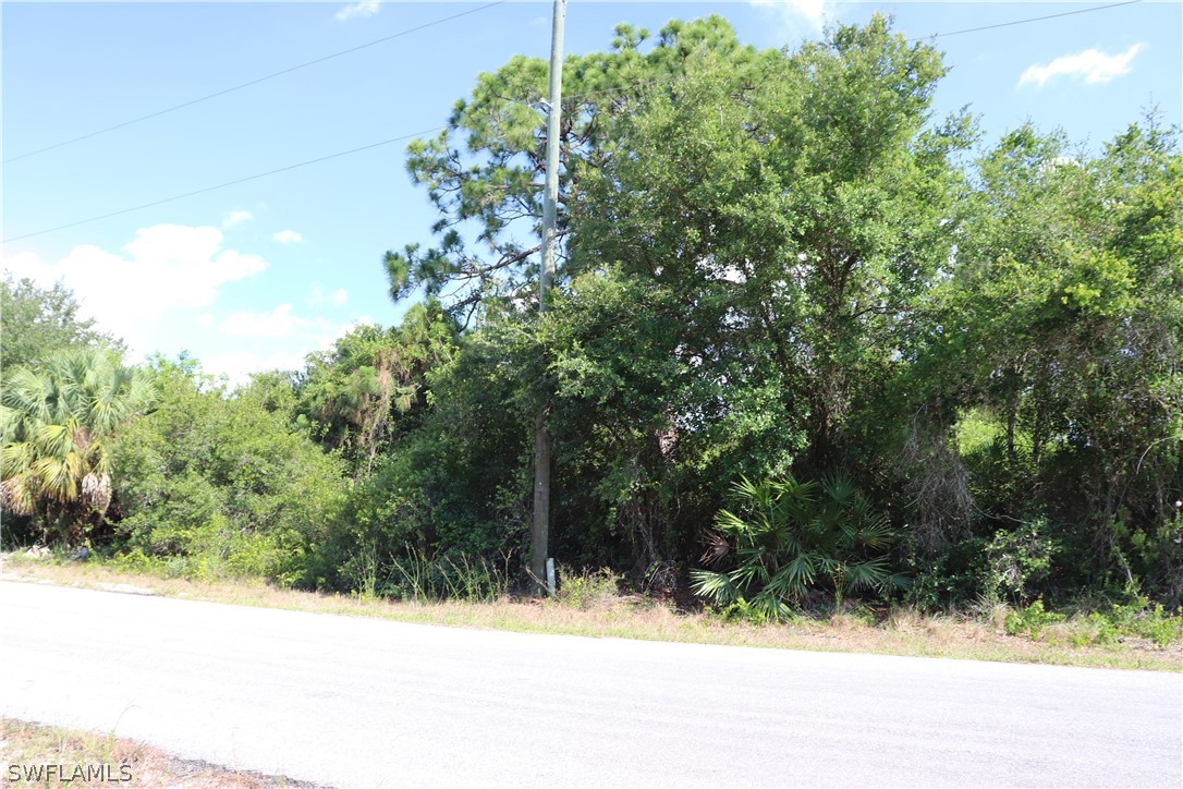 4244 East 24th Street Alva, FL 33920 - Photo 6 of 13 a view of a yard with a tree