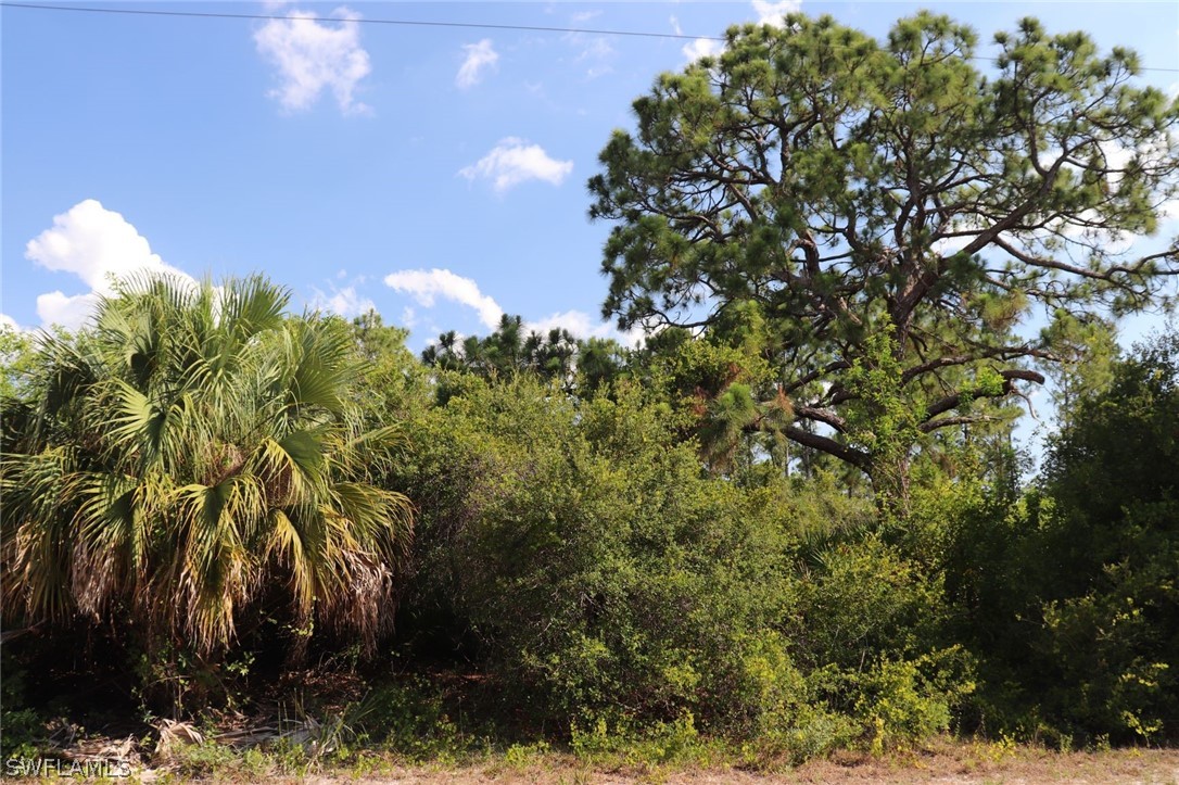 4244 East 24th Street Alva, FL 33920 - Photo 7 of 13 a view of a yard