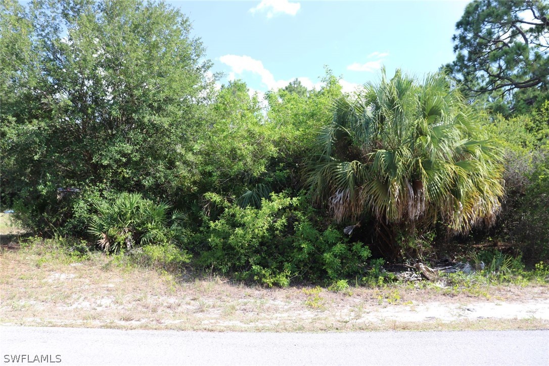 4244 East 24th Street Alva, FL 33920 - Photo 8 of 13 a view of a yard with plants and trees
