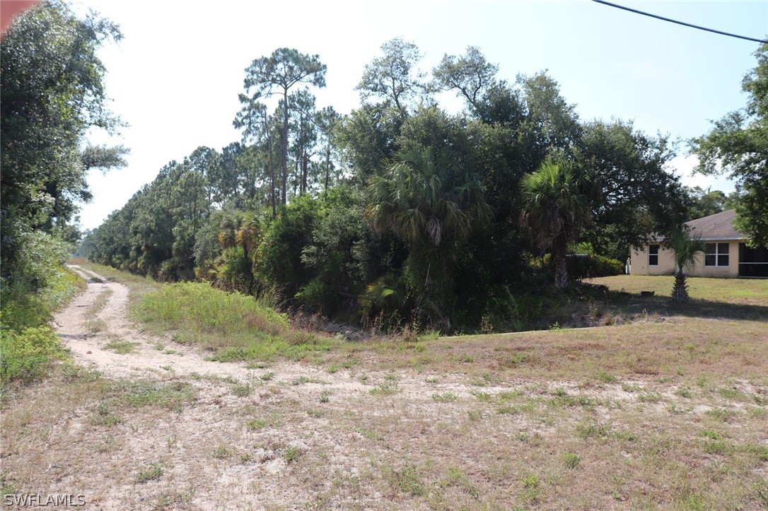 4244 East 24th Street Alva, FL 33920 - Photo 10 of 13 a view of backyard with green space