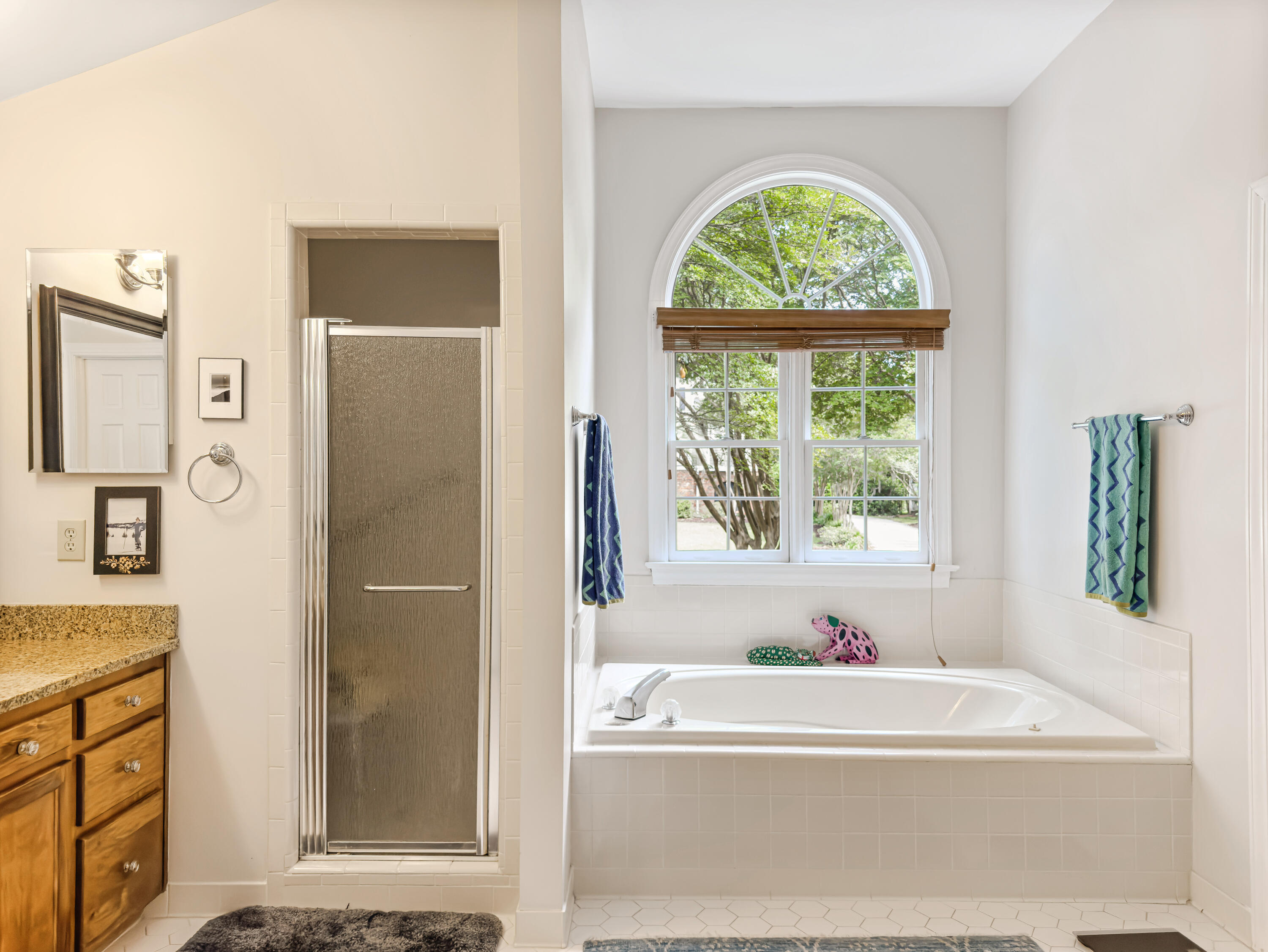 1529 Strathmore Lane Mount Pleasant, SC 29464 - Photo 17 of 29 Garden Tub in Master Bath