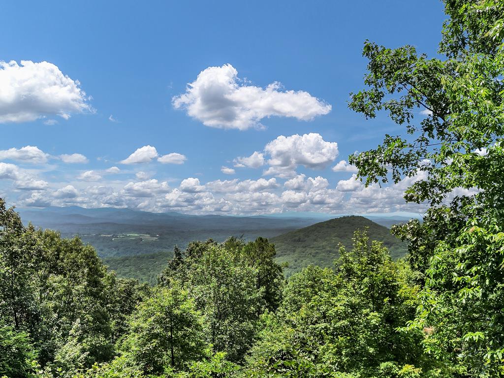 368 Walnut Ridge Ellijay, GA 30536 - Photo 21 of 47 Gallery Image 21
