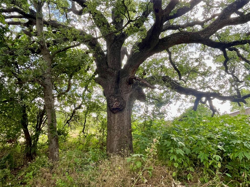 731 St Burleson, TX 76028 - Photo 13 of 35