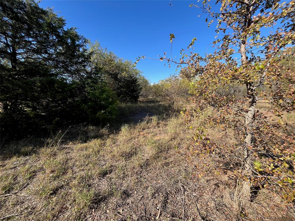 731 St Burleson, TX 76028 - Photo 25 of 35 a view of a yard