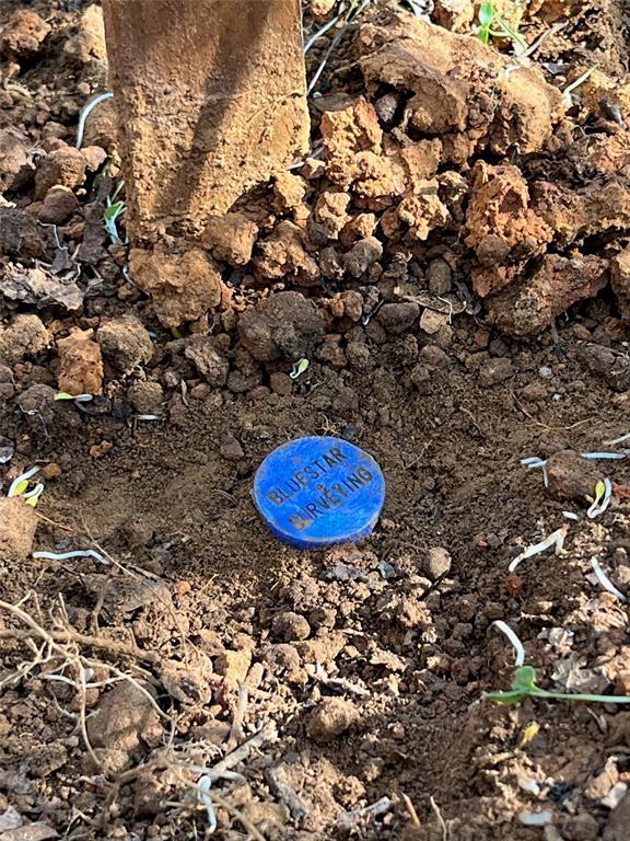 731 St Burleson, TX 76028 - Photo 30 of 35 a view of cabinets