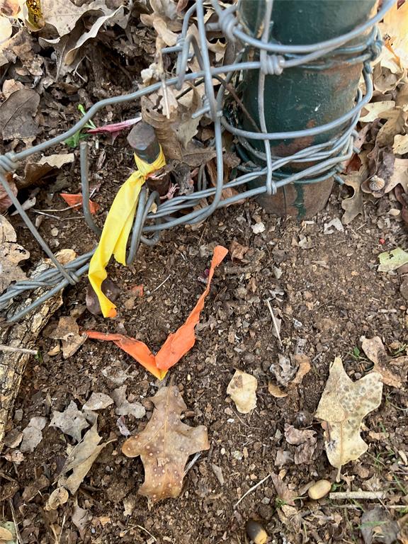 731 St Burleson, TX 76028 - Photo 32 of 35