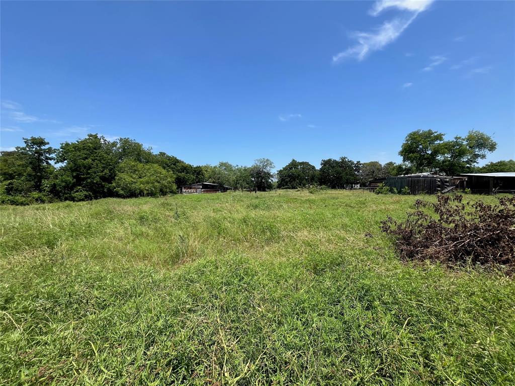 731 St Burleson, TX 76028 - Photo 10 of 35 a view of a garden with a tree