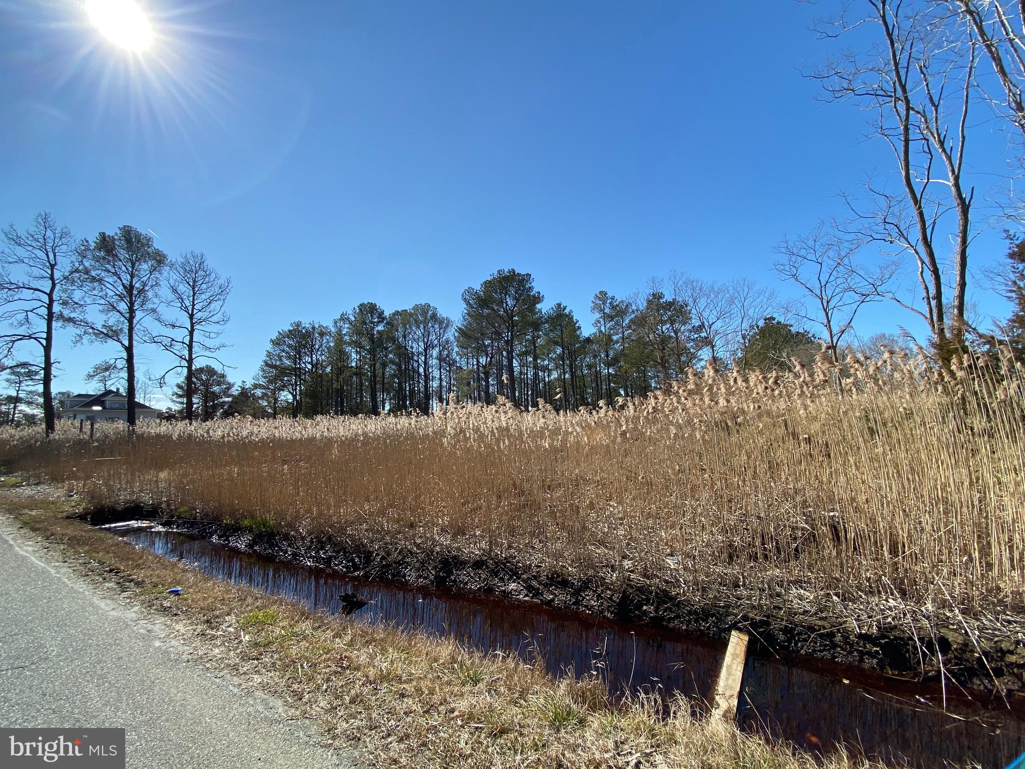 901 Calvary Road Crisfield, MD 21817 - Photo 3 of 12