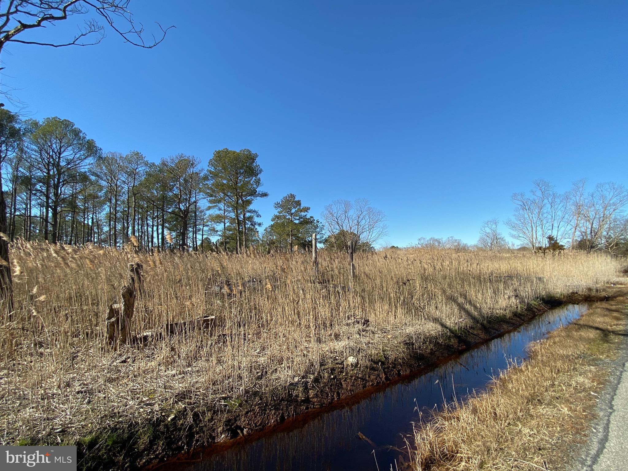 901 Calvary Road Crisfield, MD 21817 - Photo 4 of 12