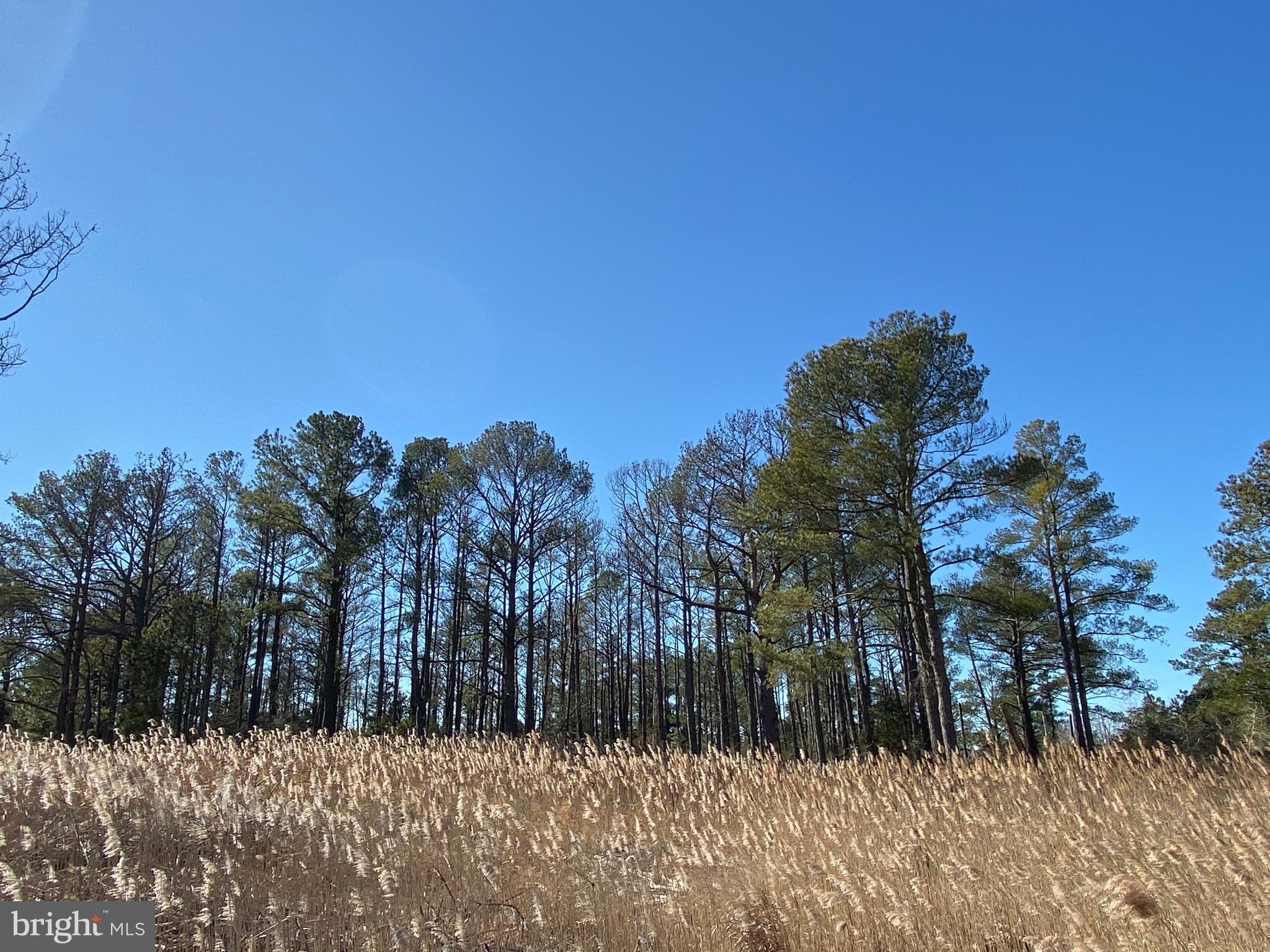 901 Calvary Road Crisfield, MD 21817 - Photo 5 of 12