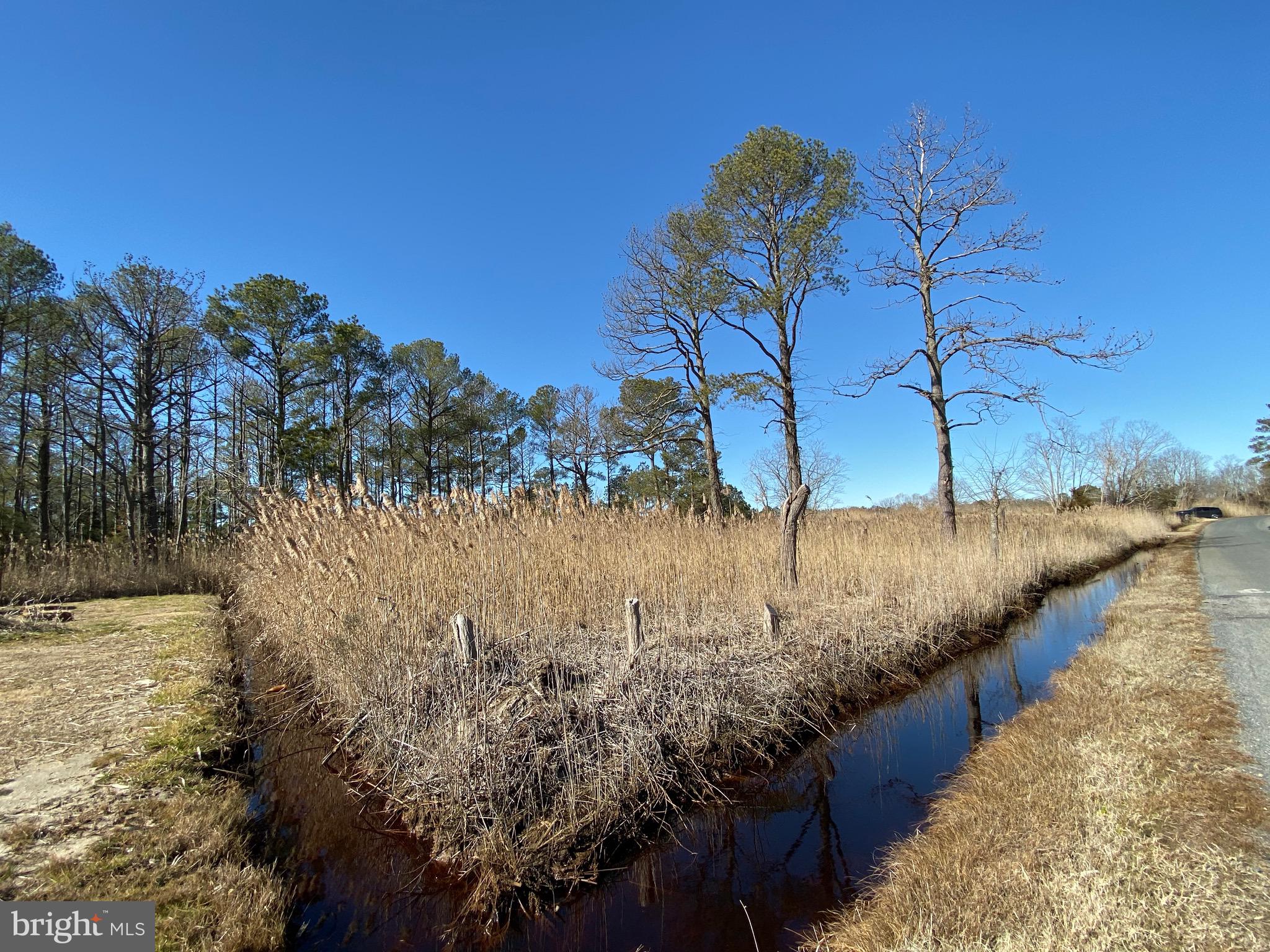 901 Calvary Road Crisfield, MD 21817 - Photo 6 of 12