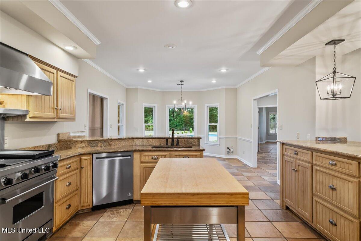 791 Hickory Ridge Drive Hernando, MS 38632 - Photo 12 of 48 Kitchen b