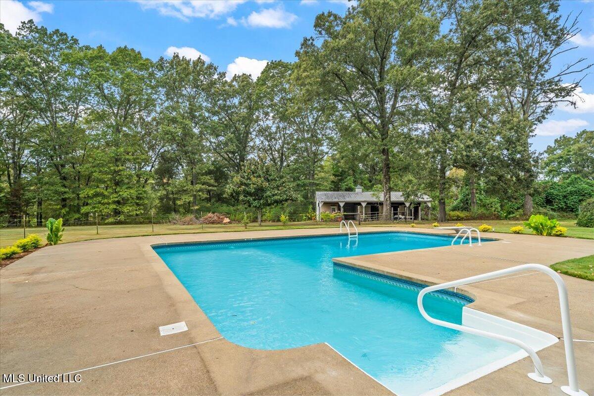 791 Hickory Ridge Drive Hernando, MS 38632 - Photo 40 of 48 Pool b