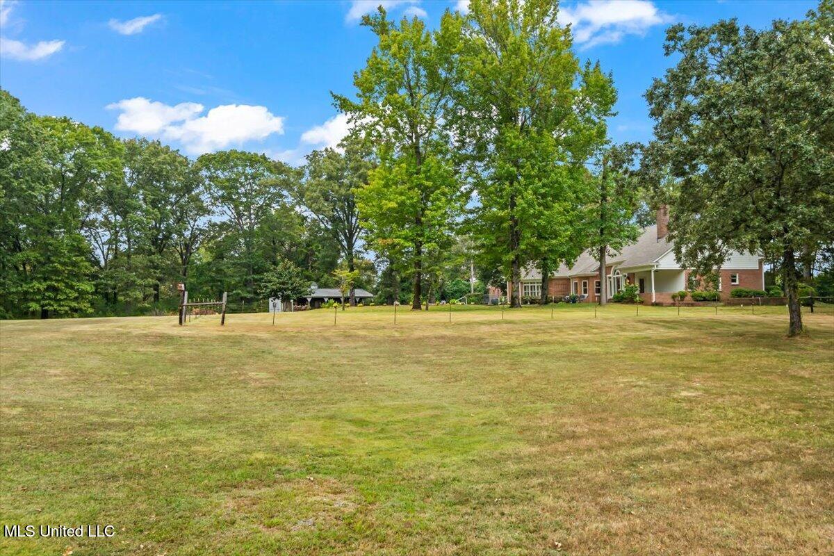 791 Hickory Ridge Drive Hernando, MS 38632 - Photo 44 of 48 3-Acre Pasture b