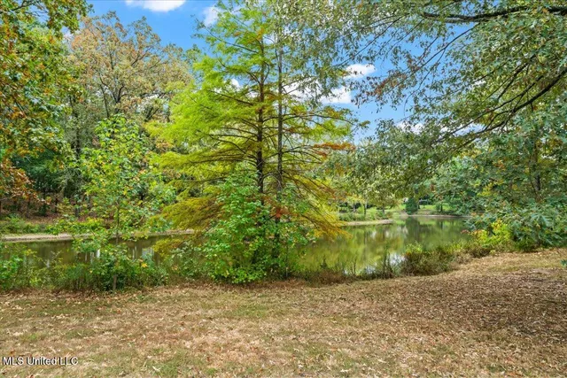 $925,000 | 791 Hickory Ridge Drive, Hernando, MS 38632