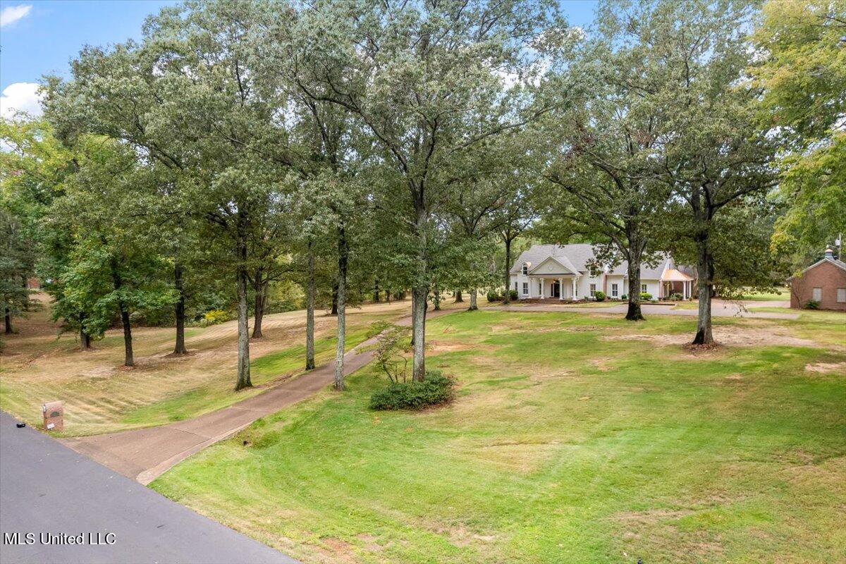 791 Hickory Ridge Drive Hernando, MS 38632 - Photo 48 of 48 Street View