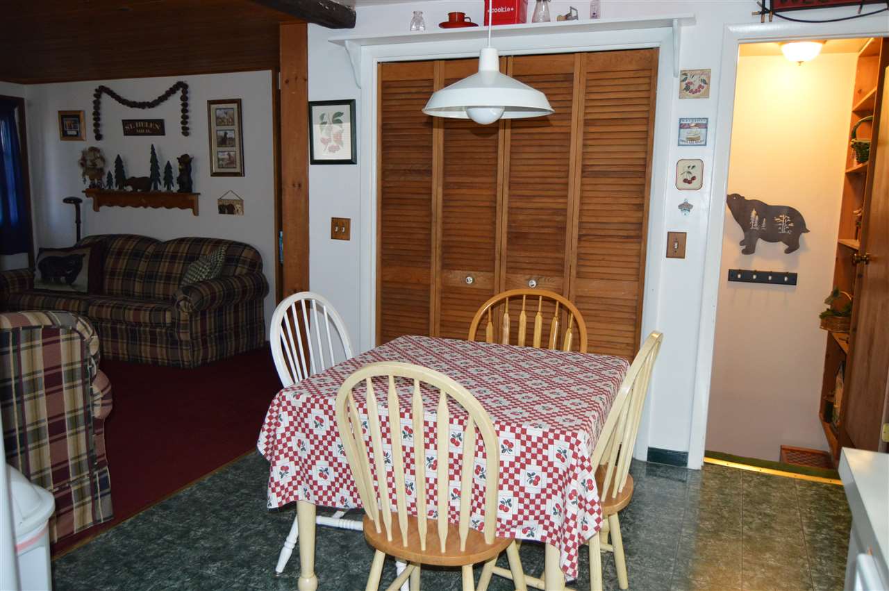 9696 Duck Road St. Helen, MI 48656 - Photo 4 of 26 1876378-3.JPG