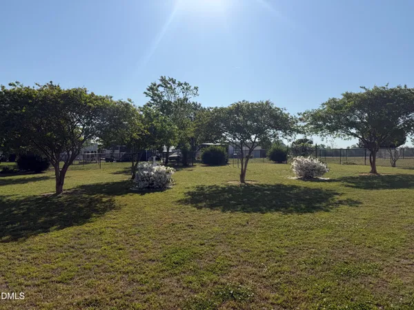 a view of a park with large trees