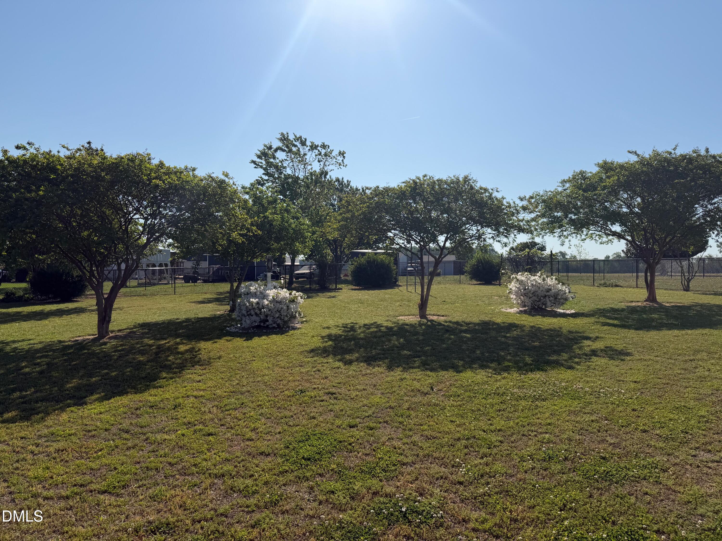 6949 Rock Ridge Sims Road Sims, NC 27880 - Photo 10 of 24 a view of a park with large trees