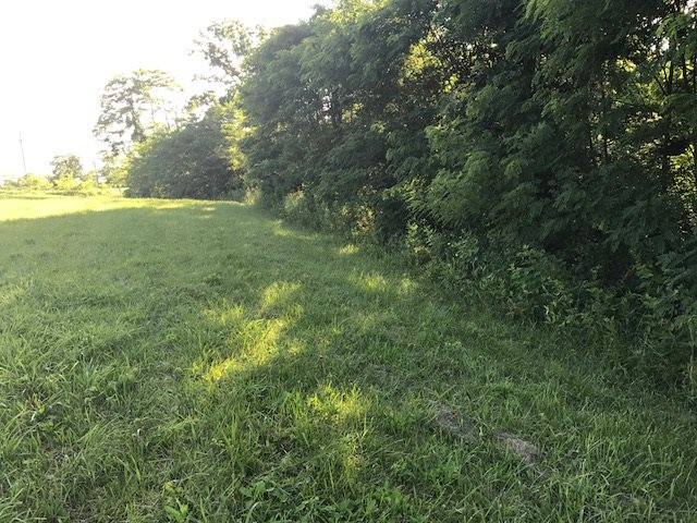 7.76-acres Heathen Ridge Road Crittenden, KY 41030 - Photo 1 of 21