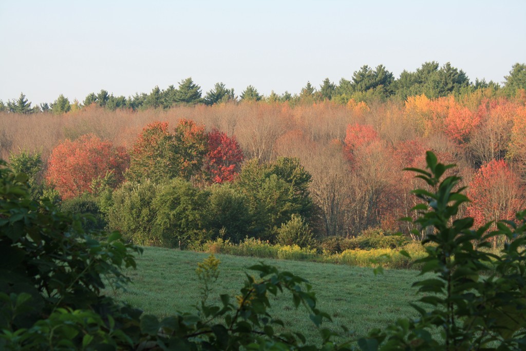 7 Michael Sears Road Belchertown, MA 01007 - Photo 2 of 30 Gallery Image 2