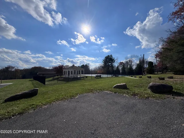 a view of a park with large trees