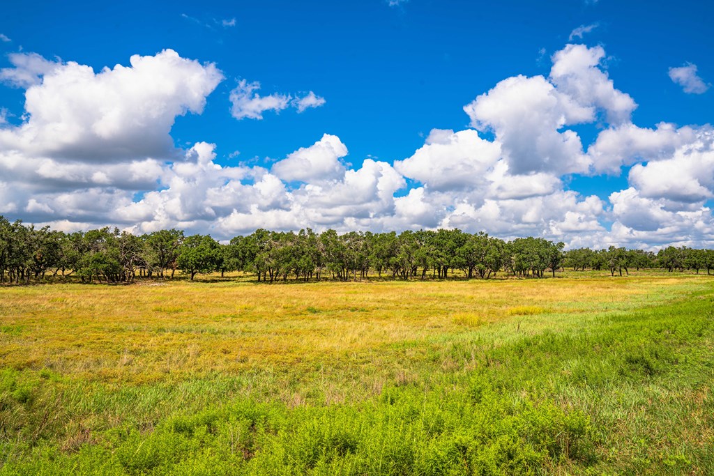 5 Blackjack Ranch Road, Unit 5 Harper, TX 78631 - Photo 3 of 9 Gallery Image 3