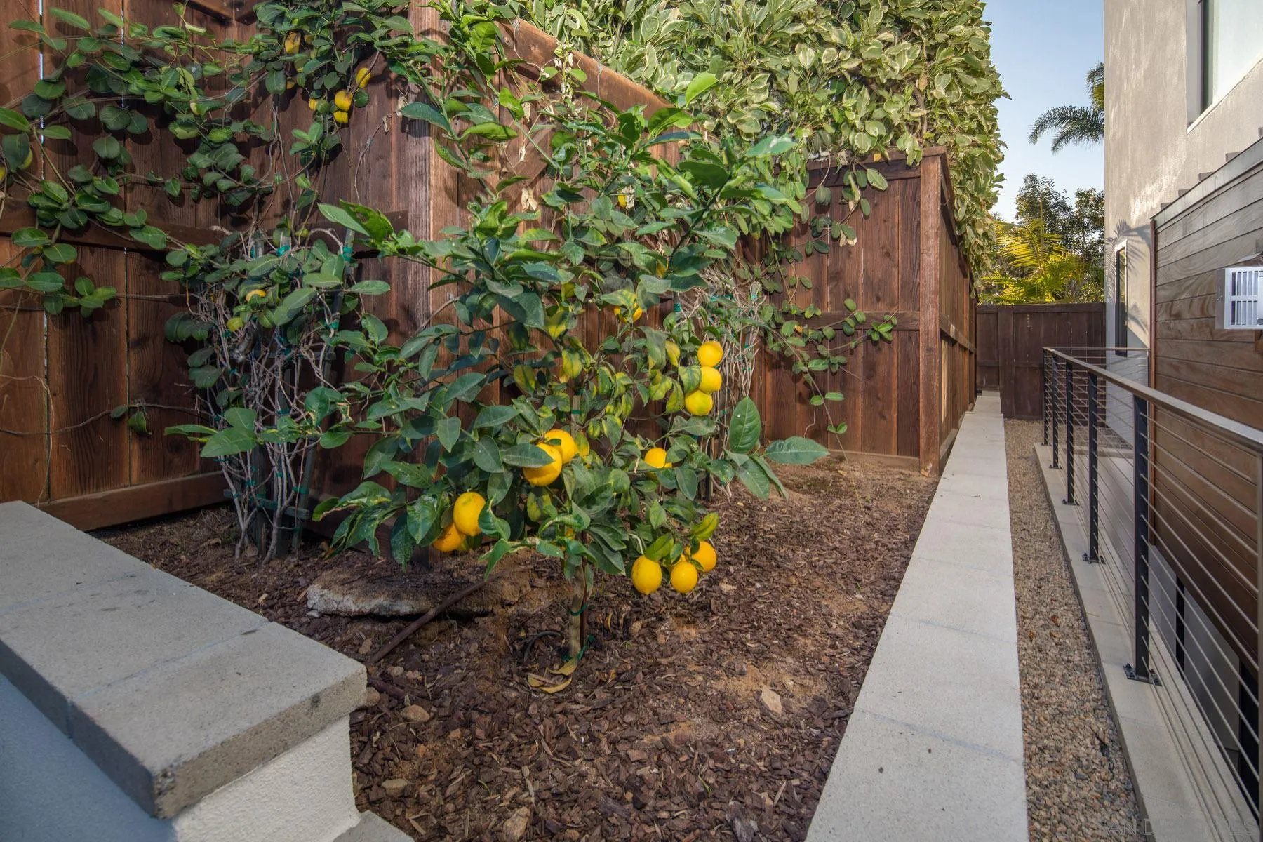307 La Mesa Avenue Encinitas, CA 92024 - Photo 30 of 33 a pathway of a house with a yard