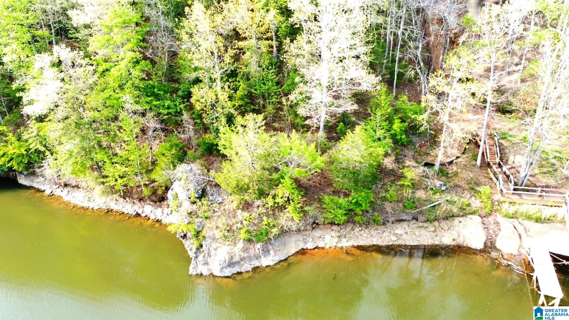 Rock Creek Road, Unit 95 Wedowee, AL 36278 - Photo 1 of 5