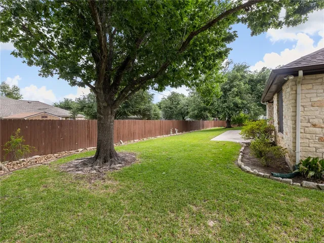 a view of a tree in a park
