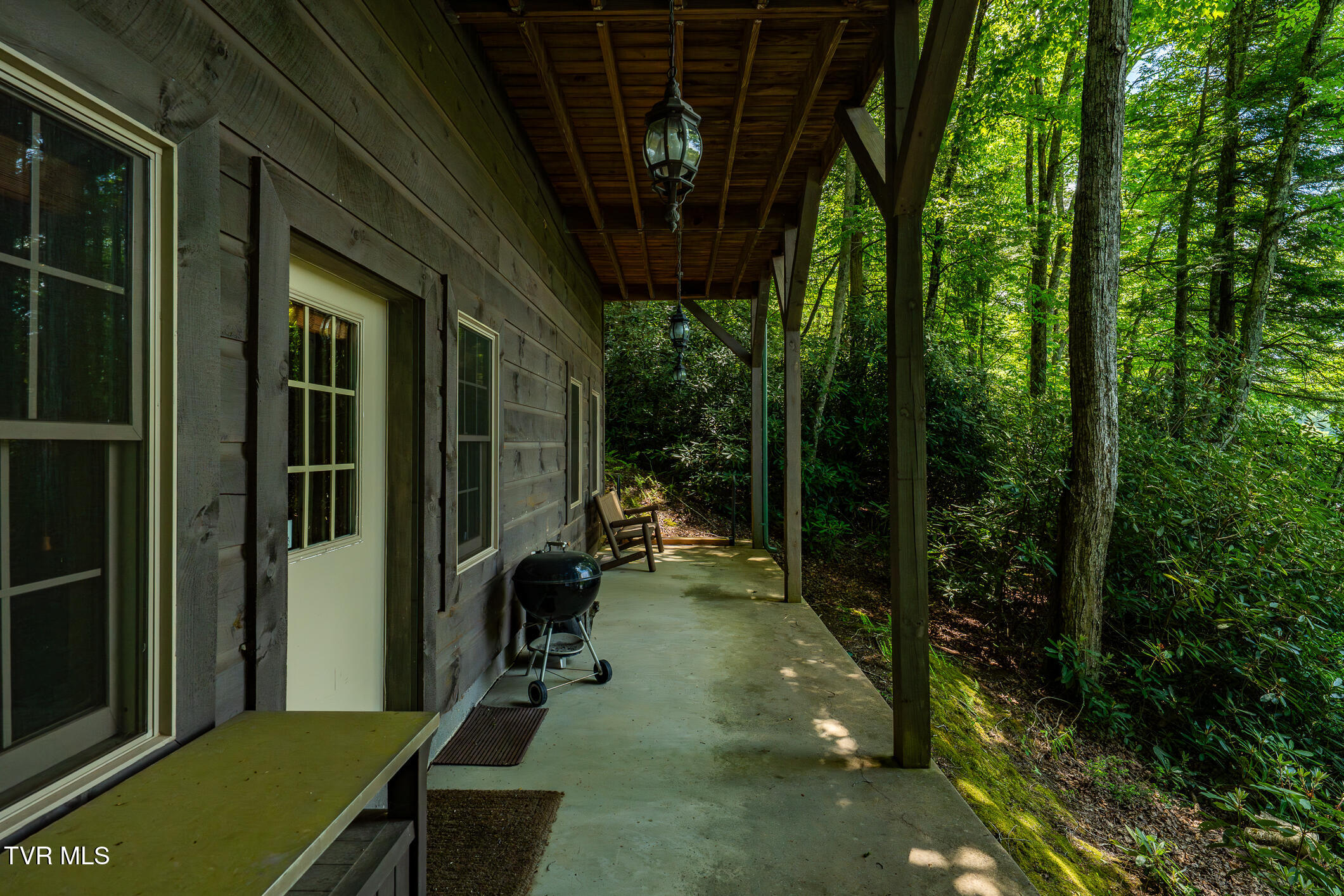 170 Ripshin Lake Road Roan Mountain, TN 37687 - Photo 51 of 64 170 Ripshin Lake Rd (21 of 73)